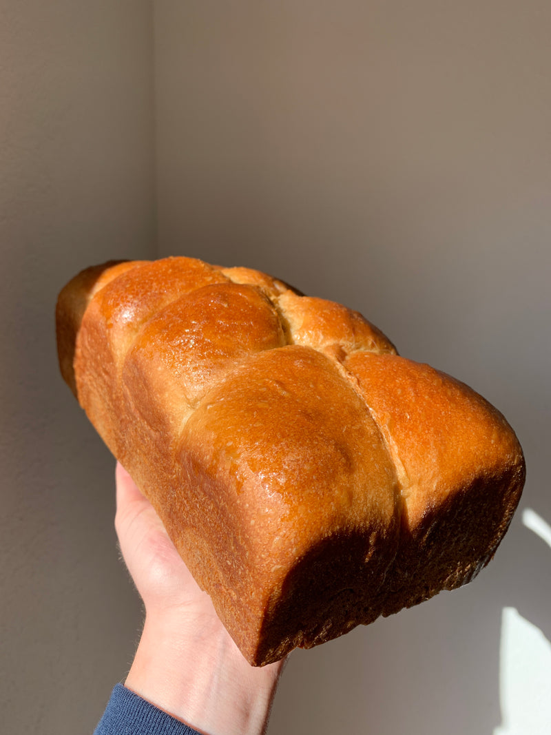 Sourdough Brioche